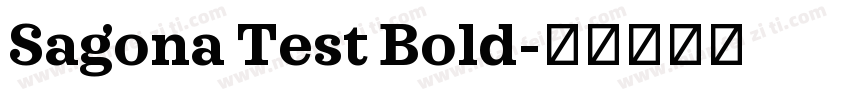 Sagona Test Bold字体转换